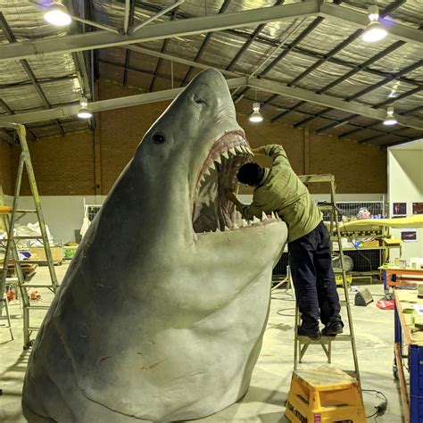 biggest megalodon in the world|shark tank natural testosterone enhancement.